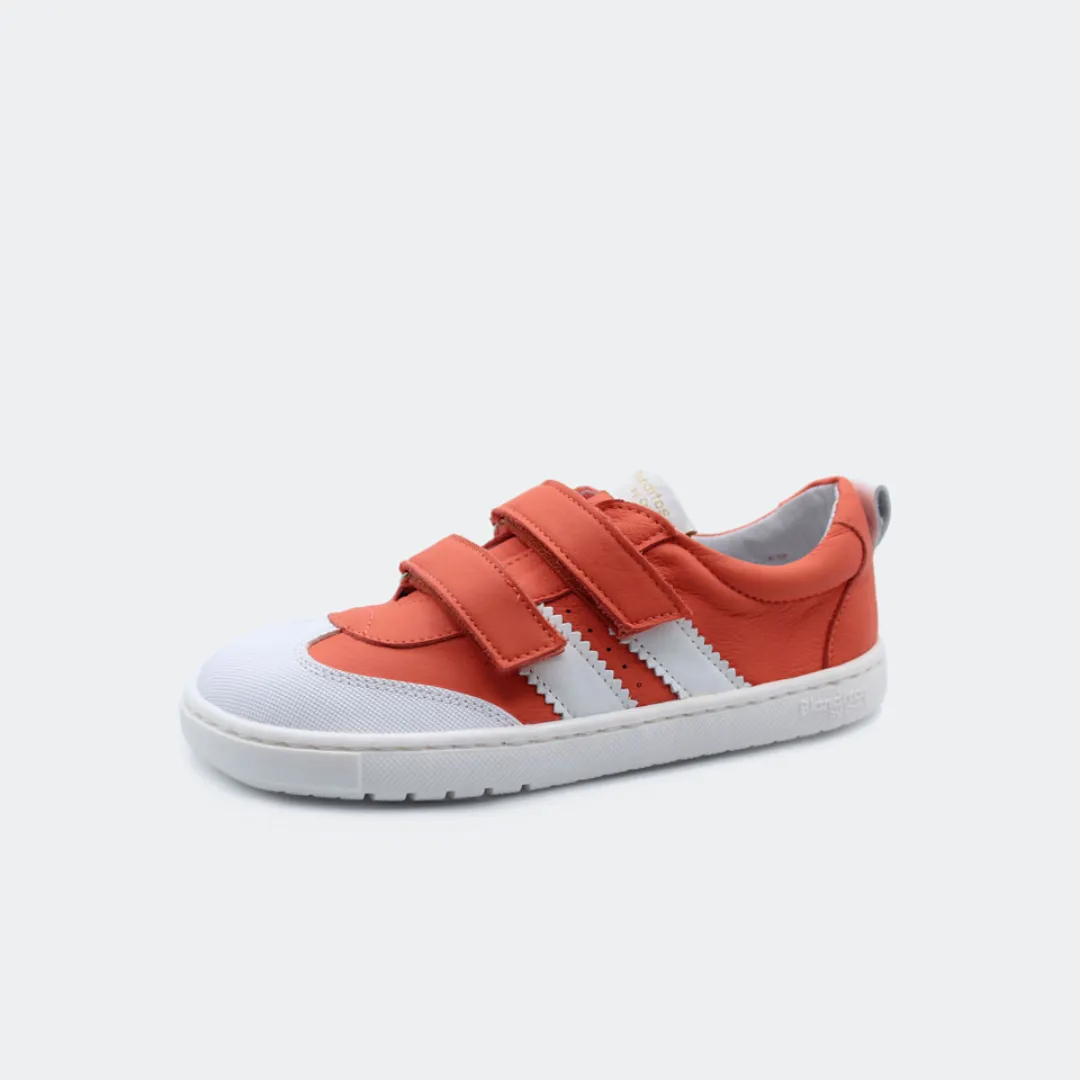 Blanditos Marea Coral