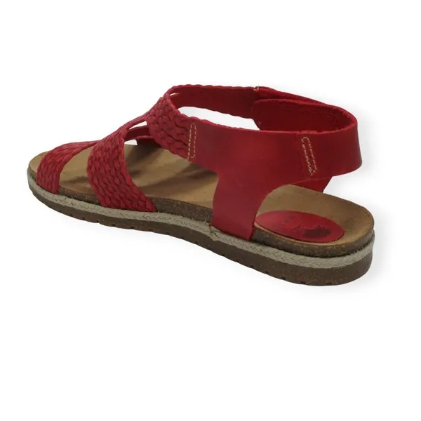INTERBIOS 2200 RED