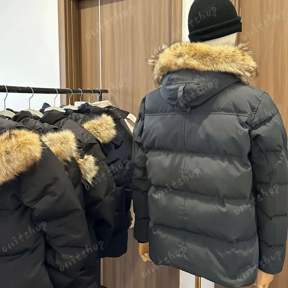 Winter Men Down Jackets Real Coyote Fur Designer Homme Puffer Windbreaker Jassen Outerwear con capucha FourRure Manteau Down Jac
